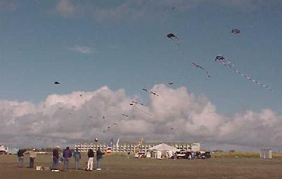 Fighter Kite venue with display