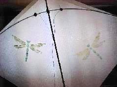 Bruces' dragonfly motif