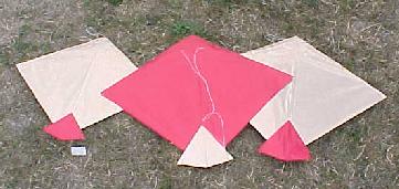 Toms' Kites