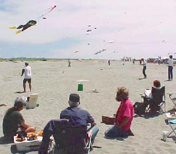 Dennis, Chuck, John, Donna, Steve and Rich flying, Bruce judging
 and Festival Kites