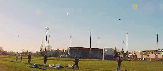 Last kites in the evening