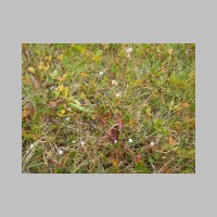 09090523EagleCap.JPG
