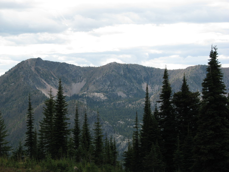 SalmoLookoutC03.jpg