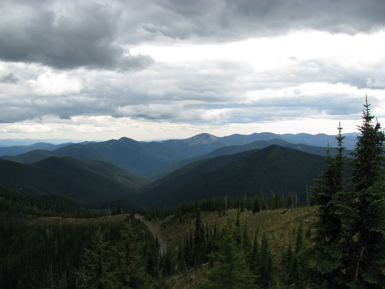 SalmoLookoutC05.jpg