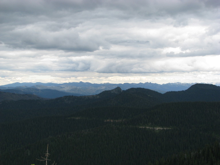 SalmoLookoutC07.jpg