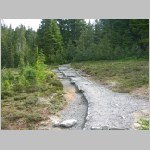 Hessong04.JPG