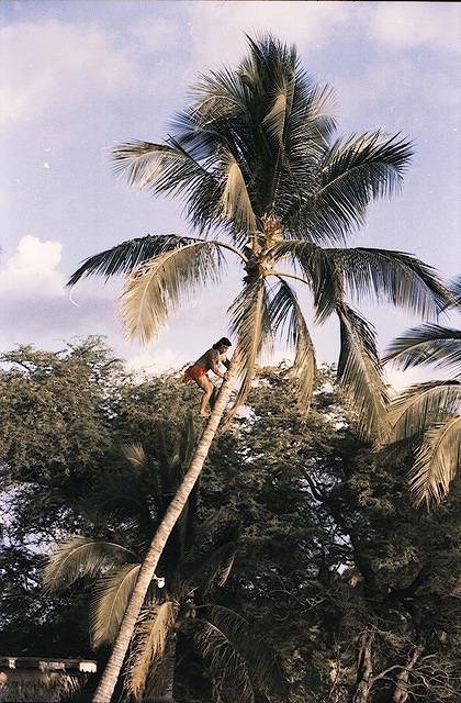 Hawaii090