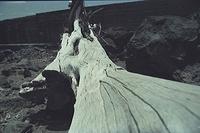 Hawaii040