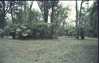 Hawaii054