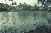 Hawaii065