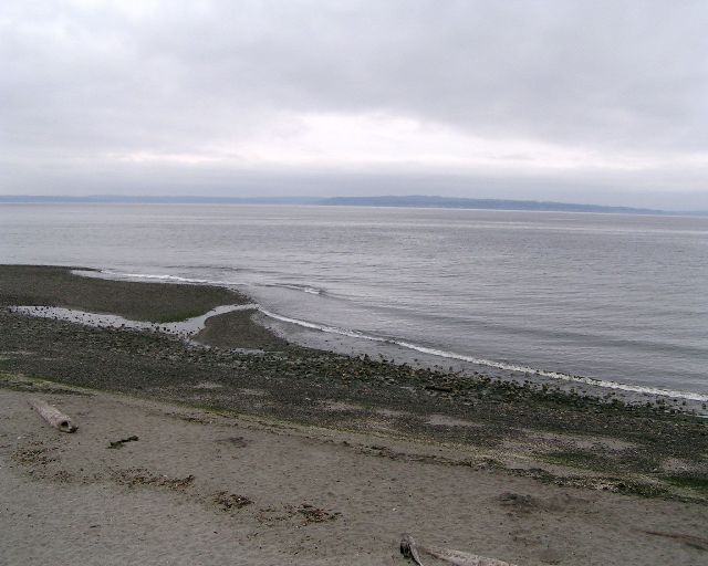 Sky and water at dawn on a cloudy
day at
Carkeek Park, Seattle, WA. 2005