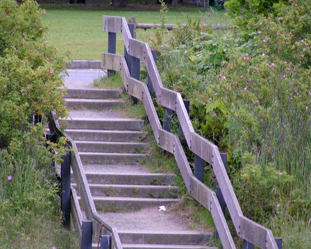 Stairs at Carkeek
Park.